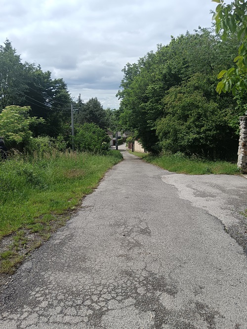 Lesná, ,Pozemok,Na predaj,Mariánka,Lesná,1082